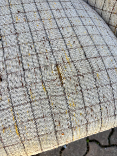 Would You Have Some Breakfast Dear ?