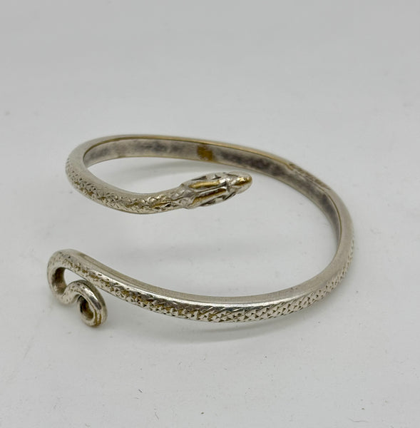 The Snake and the Woman