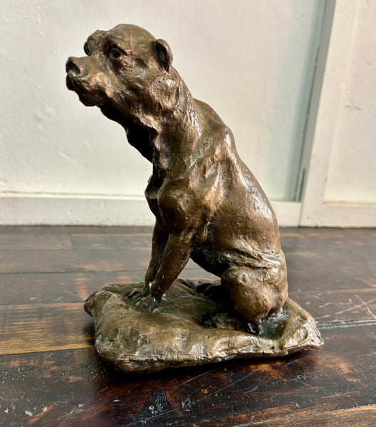 The Dog who Wanted to be Bear