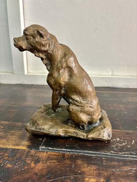 The Dog who Wanted to be Bear