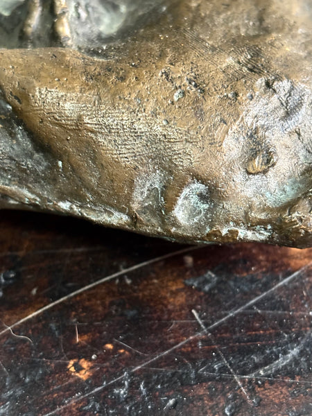 The Dog who Wanted to be Bear