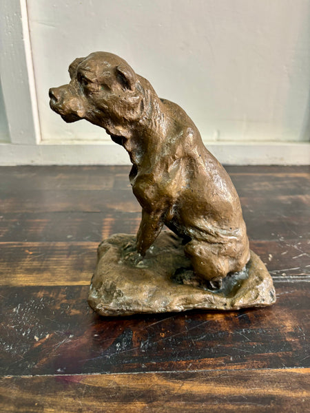 The Dog who Wanted to be Bear