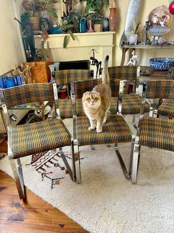 Du Tartan Chez Maman