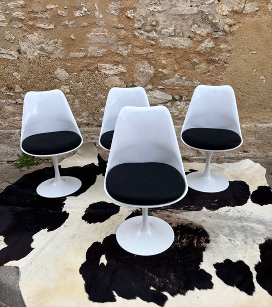 Les Quatre Dalmatiens