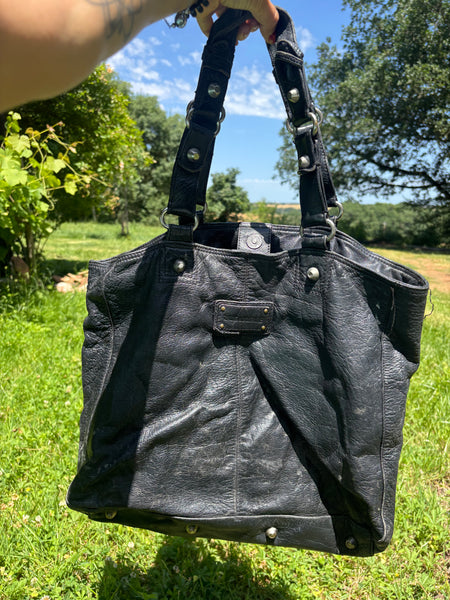 Black Zadig