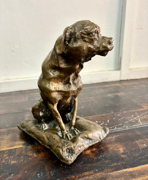 The Dog who Wanted to be Bear