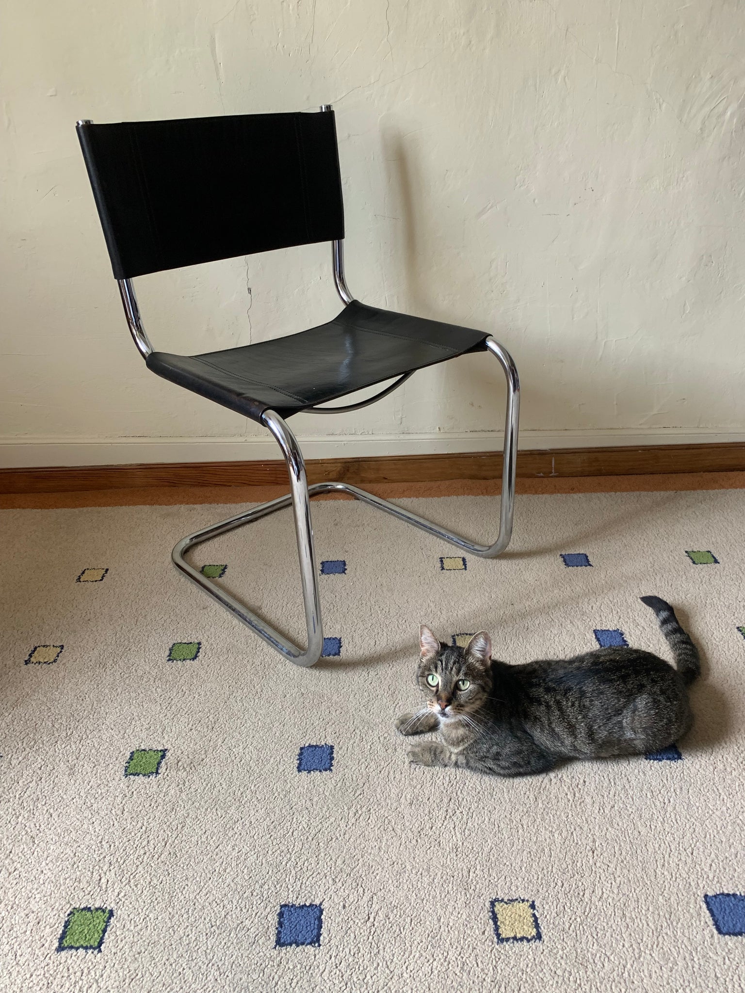 Madame Solitaire