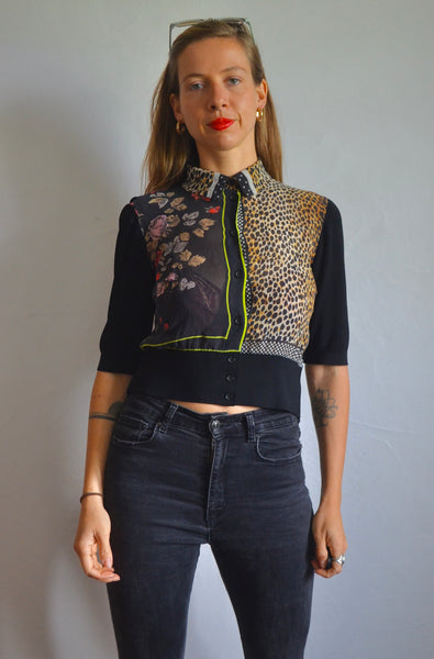 Fauve en Faune