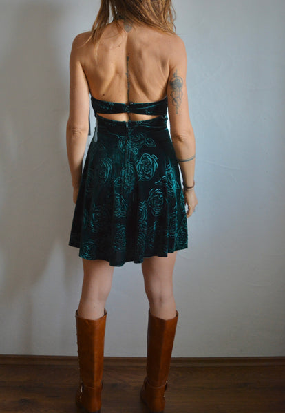 Wild Roses